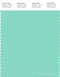 PANTONE SMART 13-5414X Color Swatch Card, Ice Green