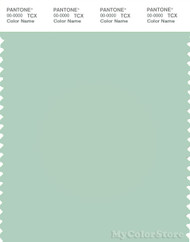 PANTONE SMART 13-5907X Color Swatch Card, Gossamer Green