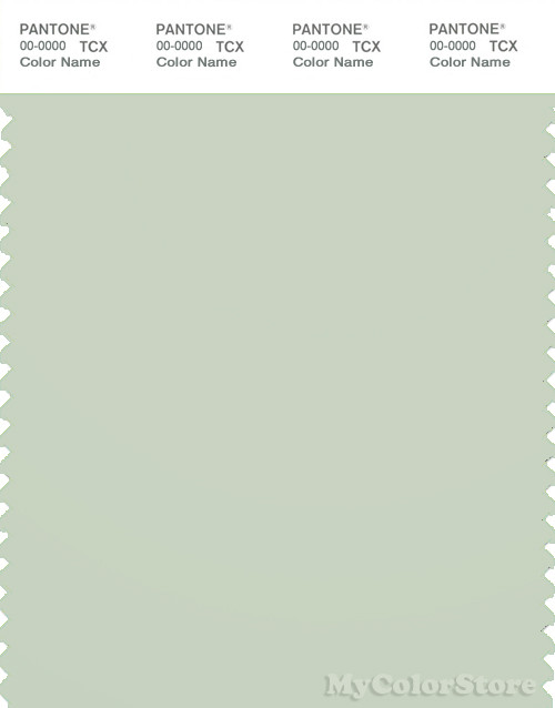 PANTONE SMART 13-6006X Color Swatch Card, Almost Aqua