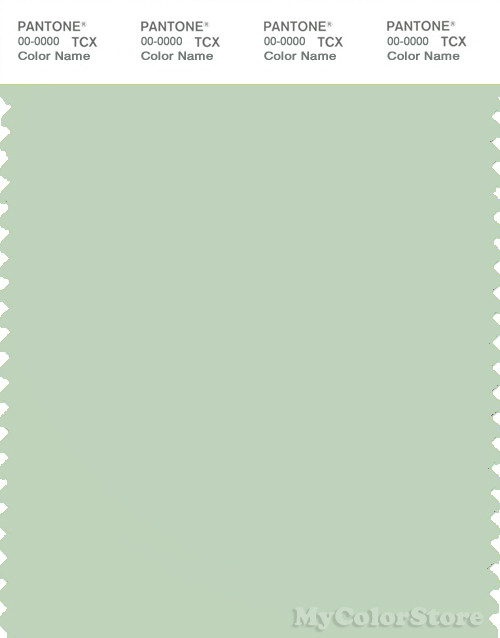 PANTONE SMART 13-6007X Color Swatch Card, Spray