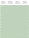 PANTONE SMART 13-6007X Color Swatch Card, Spray