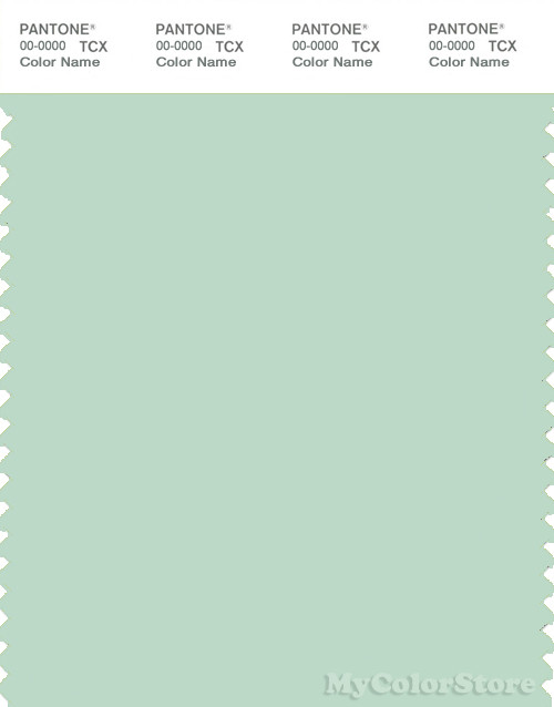 PANTONE SMART 13-6008X Color Swatch Card, Misty Jade
