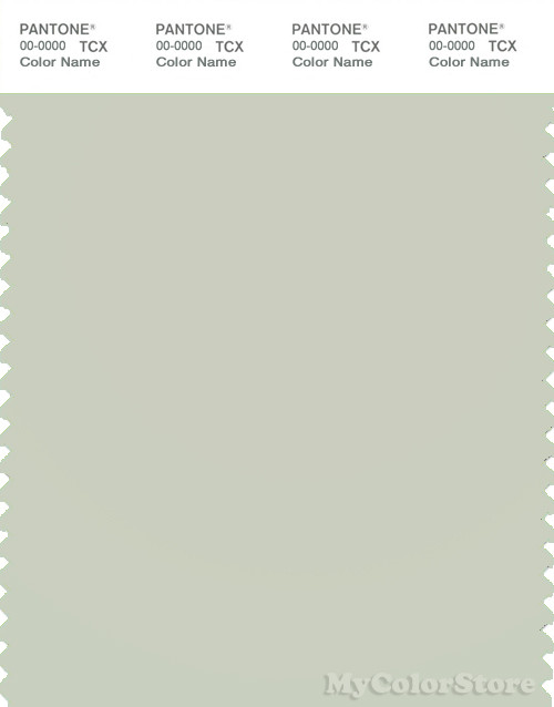 PANTONE SMART 13-6105X Color Swatch Card, Celadon Tint