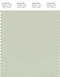 PANTONE SMART 13-6105X Color Swatch Card, Celadon Tint