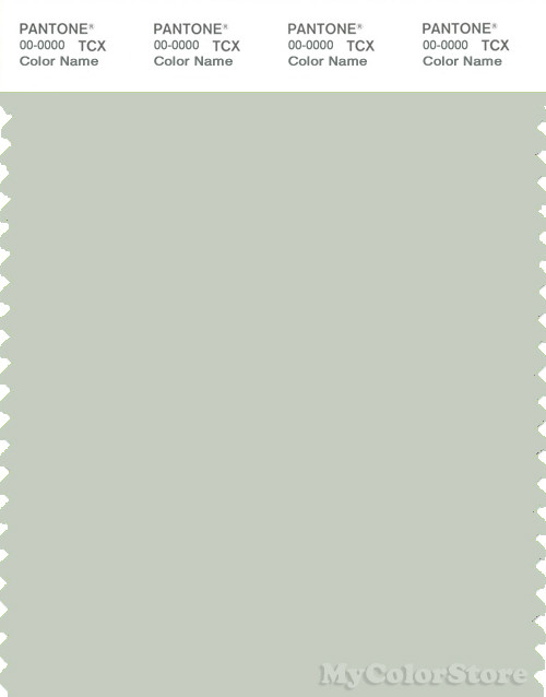 PANTONE SMART 13-6106X Color Swatch Card, Green Tint