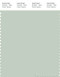 PANTONE SMART 13-6107X Color Swatch Card, Green Lily