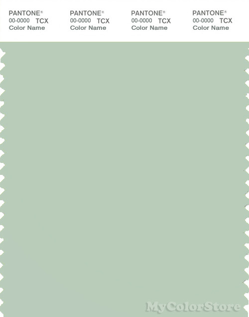 PANTONE SMART 13-6108X Color Swatch Card, Celadon