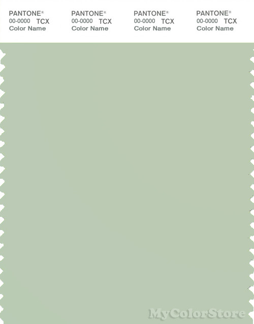 PANTONE SMART 13-6208X Color Swatch Card, Bok Choy