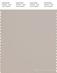 PANTONE SMART 14-0000X Color Swatch Card, Silver Gray
