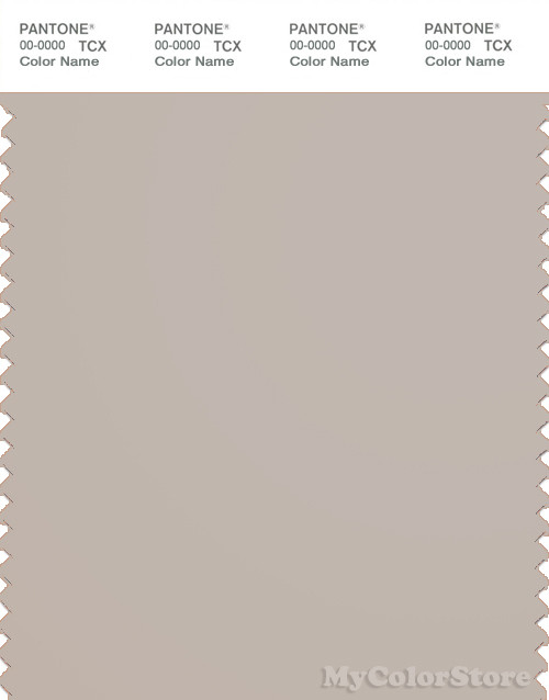 PANTONE SMART 14-0000X Color Swatch Card, Silver Gray