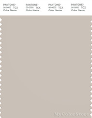 PANTONE SMART 14-0002X Color Swatch Card, Pumice Stone