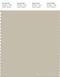 PANTONE SMART 14-0105X Color Swatch Card, Overcast