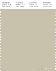 PANTONE SMART 14-0108X Color Swatch Card, Pale Gray Green