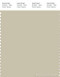 PANTONE SMART 14-0108X Color Swatch Card, Pale Gray Green