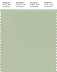 PANTONE SMART 14-0114X Color Swatch Card, Celadon Green
