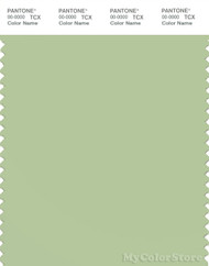 PANTONE SMART 14-0115X Color Swatch Card, Foam Green
