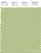 PANTONE SMART 14-0116X Color Swatch Card, Margarita