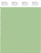 PANTONE SMART 14-0121X Color Swatch Card, Nile Green