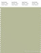 PANTONE SMART 14-0216X Color Swatch Card, Lint