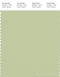 PANTONE SMART 14-0217X Color Swatch Card, Seedling