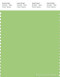 PANTONE SMART 14-0232X Color Swatch Card, Jade Lime