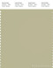 PANTONE SMART 14-0418X Color Swatch Card, Bog