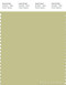 PANTONE SMART 14-0425X Color Swatch Card, Beechnut