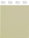 PANTONE SMART 14-0615X Color Swatch Card, Green Haze