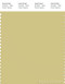 PANTONE SMART 14-0627X Color Swatch Card, Shadow Green
