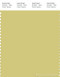 PANTONE SMART 14-0636X Color Swatch Card, Muted Lime