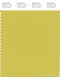 PANTONE SMART 14-0647X Color Swatch Card, Celery