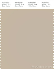 PANTONE SMART 14-0708X Color Swatch Card, Cement