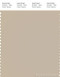 PANTONE SMART 14-0708X Color Swatch Card, Cement