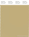 PANTONE SMART 14-0721X Color Swatch Card, Hemp
