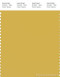 PANTONE SMART 14-0740X Color Swatch Card, Bamboo