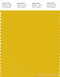 PANTONE SMART 14-0755X Color Swatch Card, Sulphur