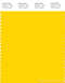 PANTONE SMART 14-0760X Color Swatch Card, Cyber Yellow