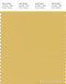 PANTONE SMART 14-0837X Color Swatch Card, Misted Yellow