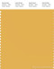 PANTONE SMART 14-0846X Color Swatch Card, Yolk Yellow