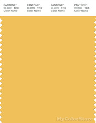 PANTONE SMART 14-0848X Color Swatch Card, Mimosa
