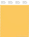 PANTONE SMART 14-0851X Color Swatch Card, Samoan Sun