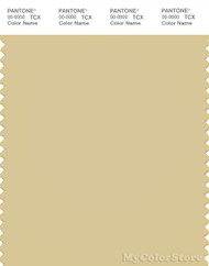 PANTONE SMART 14-0925X Color Swatch Card, Parsnip