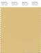PANTONE SMART 14-0935X Color Swatch Card, Jojoba
