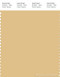 PANTONE SMART 14-0936X Color Swatch Card, Sahara Sun