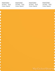 PANTONE SMART 14-0955X Color Swatch Card, Citrus