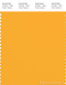 PANTONE SMART 14-0955X Color Swatch Card, Citrus