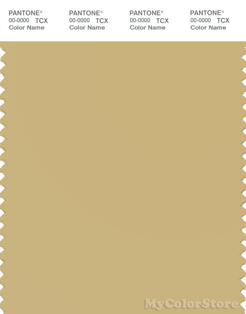 PANTONE SMART 14-1025X Color Swatch Card, Cocoon