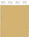 PANTONE SMART 14-1031X Color Swatch Card, Rattan