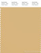 PANTONE SMART 14-1038X Color Swatch Card, New Wheat