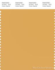 PANTONE SMART 14-1041X Color Swatch Card, Golden Apricot